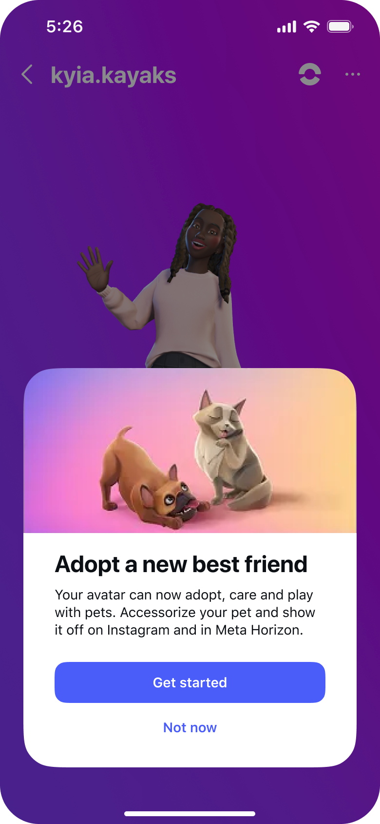 Pets concept — companion overview