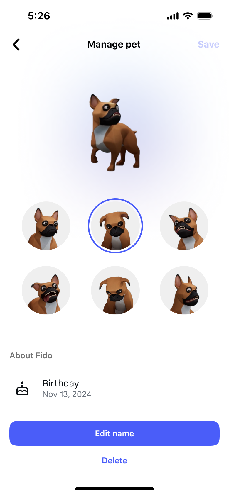 Pet accessories — customize your companion